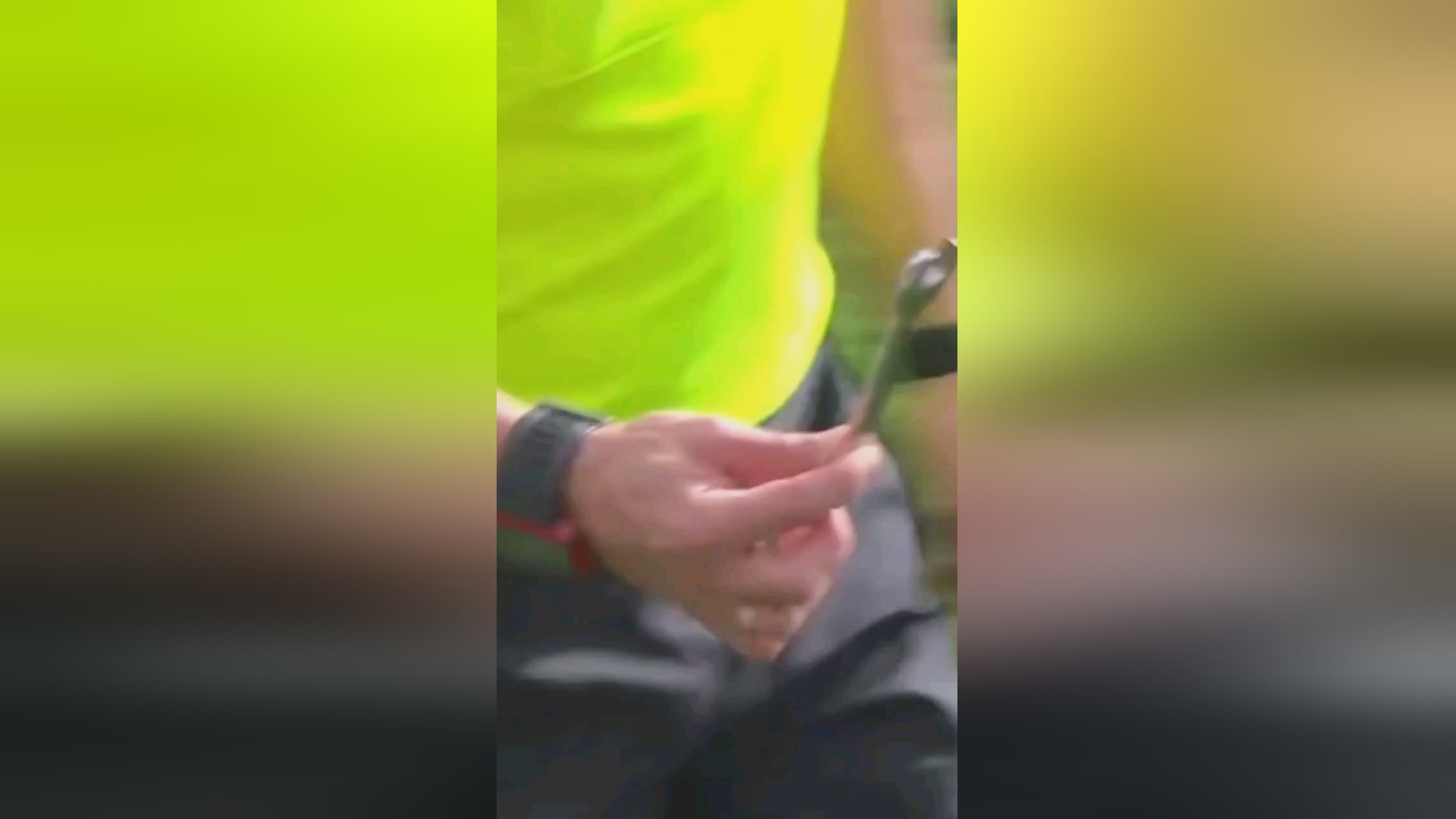 选择将成为